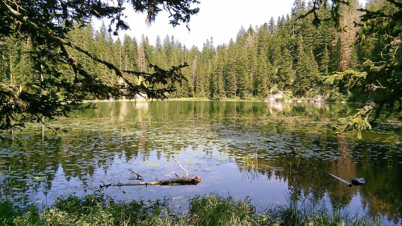 Cottage Bosaca Žabljak Zewnętrze zdjęcie