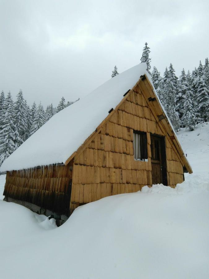Cottage Bosaca Žabljak Zewnętrze zdjęcie